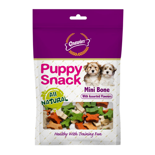 Mini Bones Sai International Pet Product Pvt. Ltd.