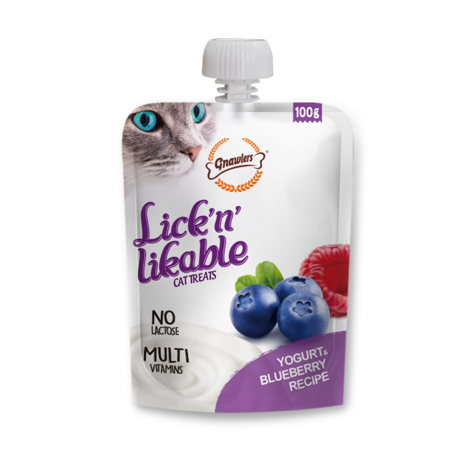 Yogurt & Blueberry Recipe 100gm Sai International Pet Product Pvt. Ltd.