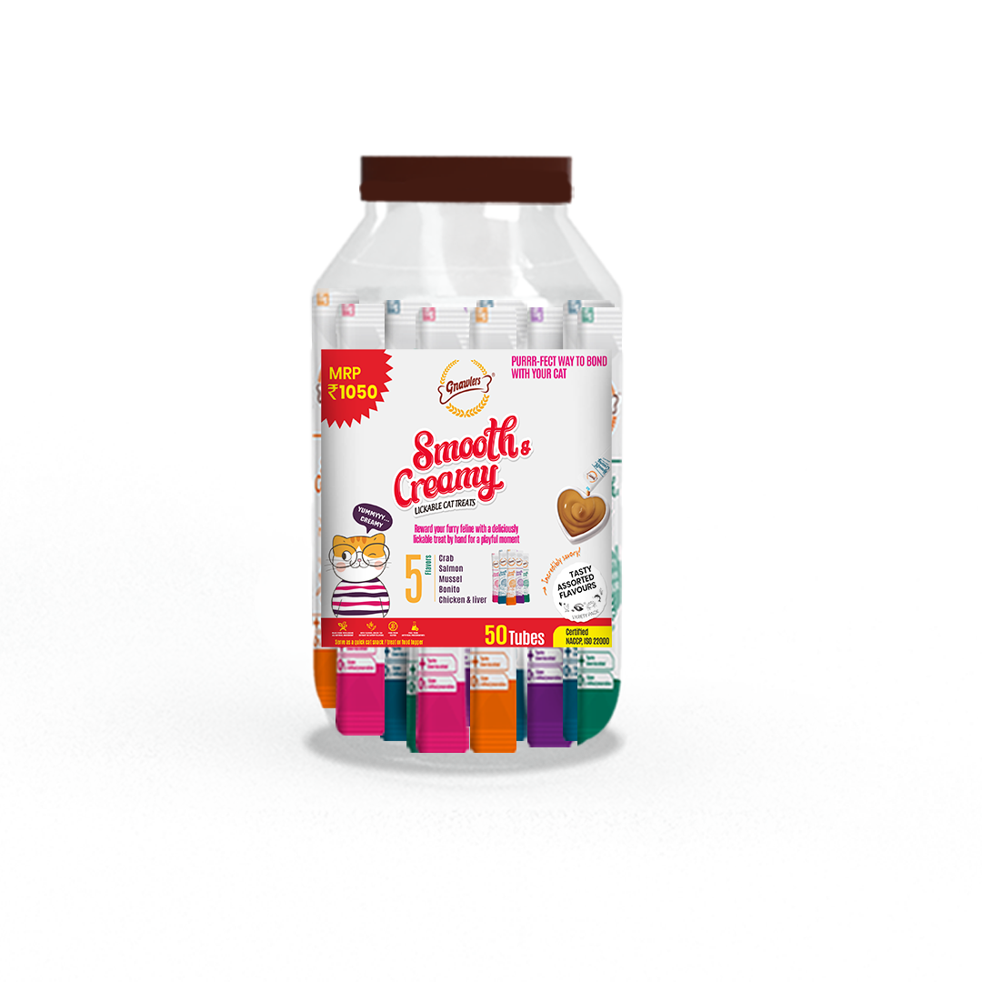 Big Jar Sai International Pet Product Pvt. Ltd.